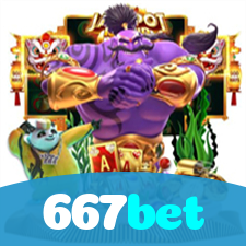Problemas de Login no 667bet