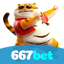 Problemas de Login no 667bet